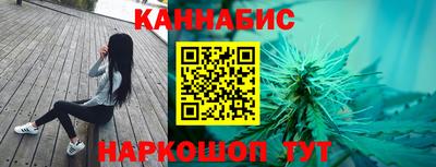 крисы Будённовск