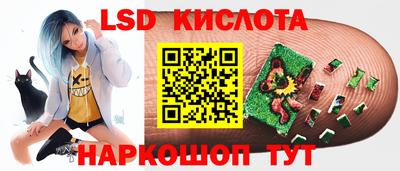 крисы Будённовск