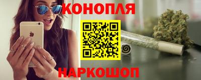 крисы Будённовск