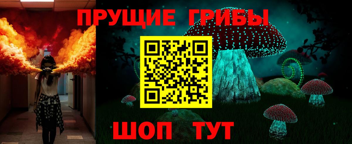 Псилоцибиновые грибы Cubensis Киреевск